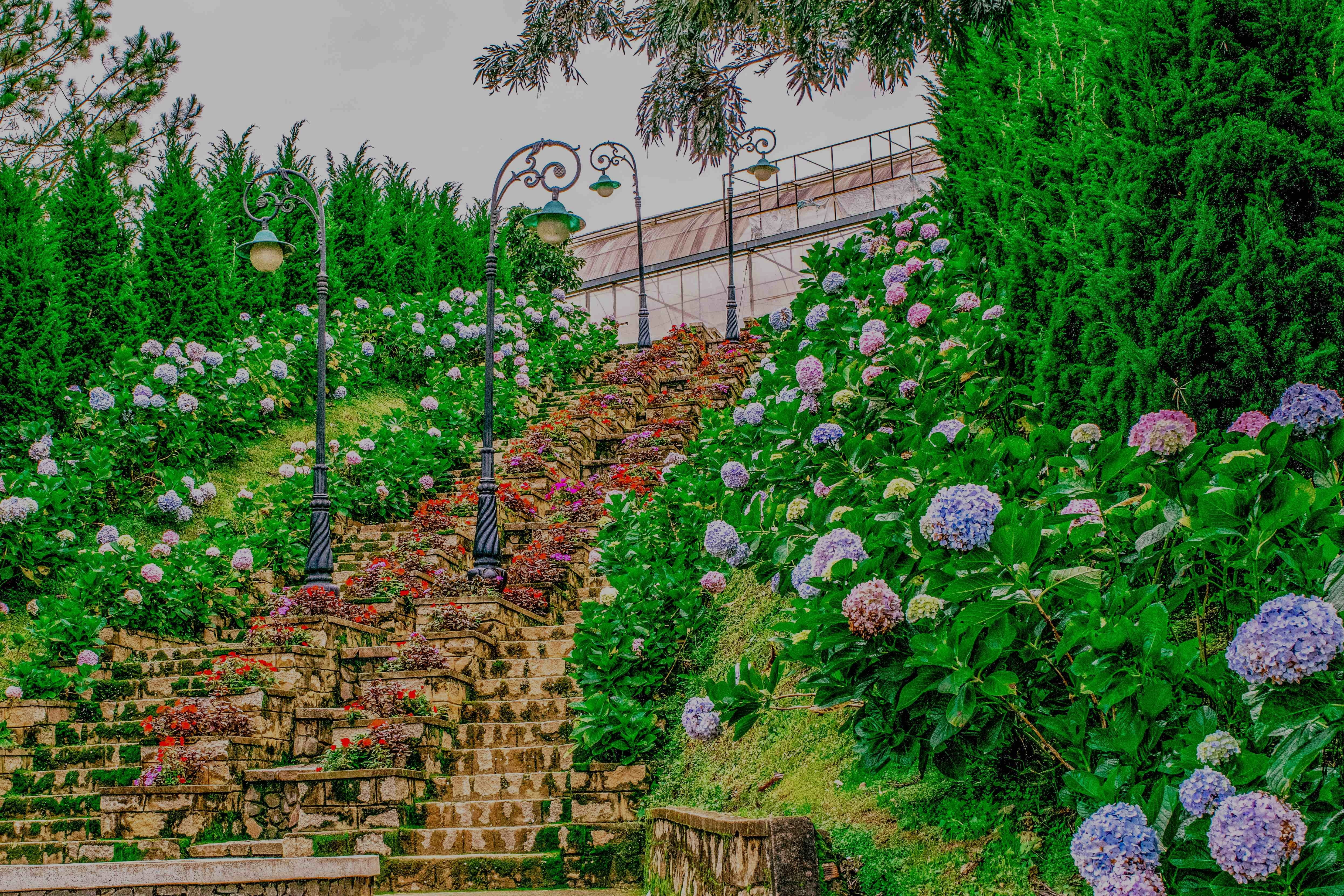 Da Lat Flower Gardens